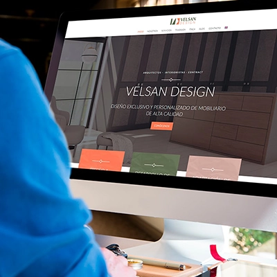 professional website